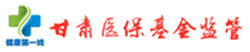 甘肃陇南飞检