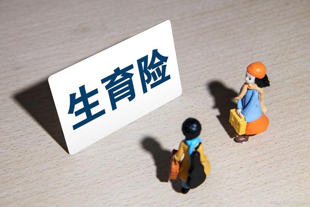 陇南市城镇职工生育保险和职工基本医疗保险合并实施办法