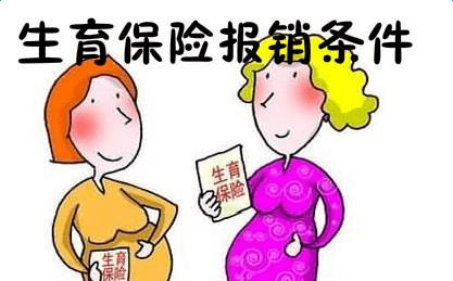 陇南市城镇职工生育保险和职工基本医疗保险合并实施办法