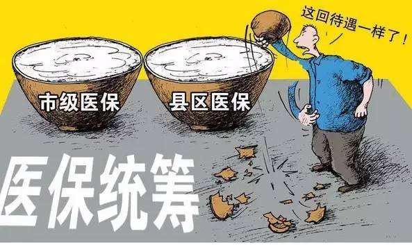 陇南市城乡居民基本医疗保险市级统筹实施细则